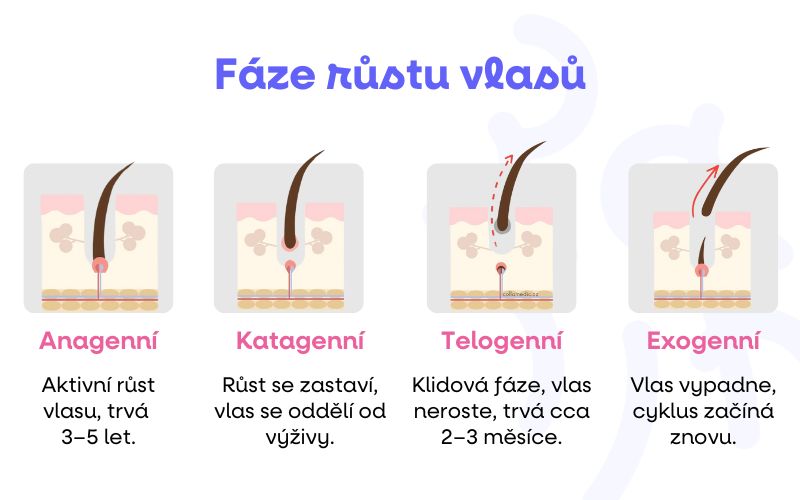 fazerustuvlastuinfo